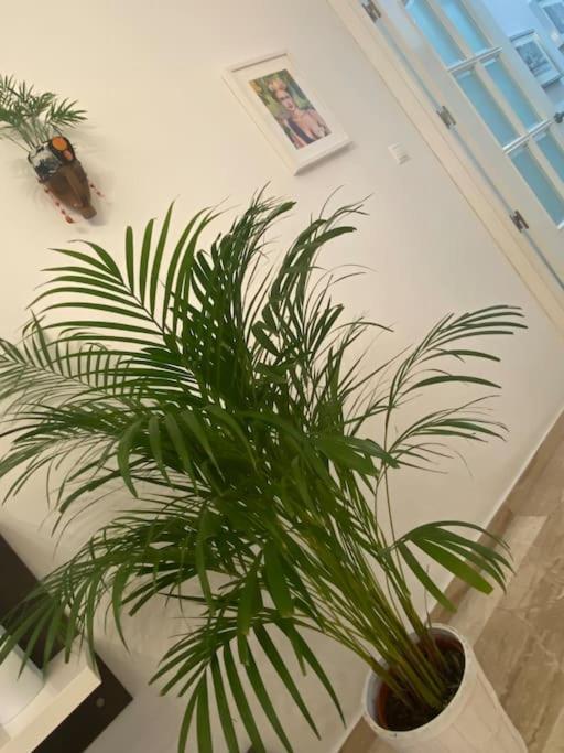 Casa Mina Cadiz公寓 外观 照片